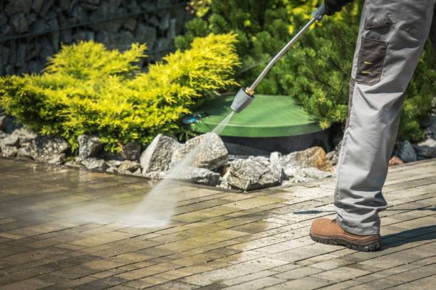 Best House Exterior Washing  in Maquoketa, IA