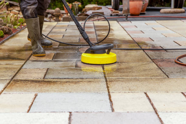 Best Sign and Awning Cleaning  in Maquoketa, IA